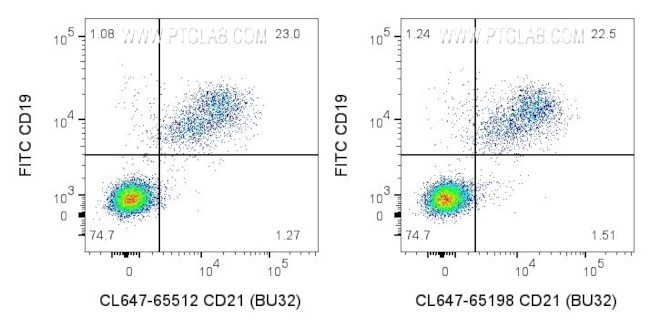 CD21 Antibody in Flow Cytometry (Flow)