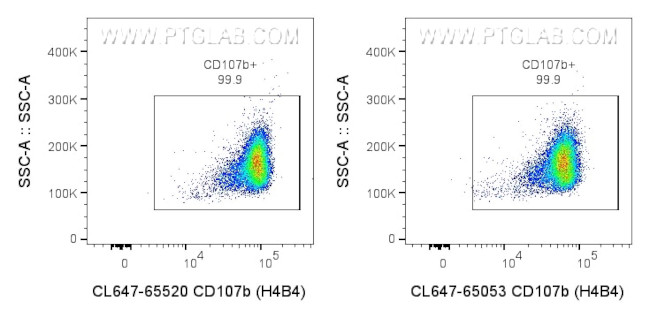 CD107b/LAMP2 Antibody in Flow Cytometry (Flow)