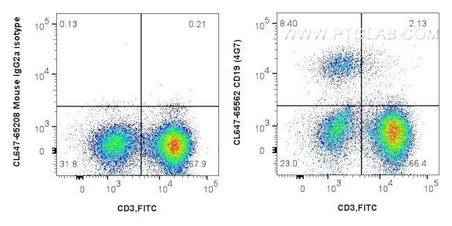 CD19 Antibody in Flow Cytometry (Flow)