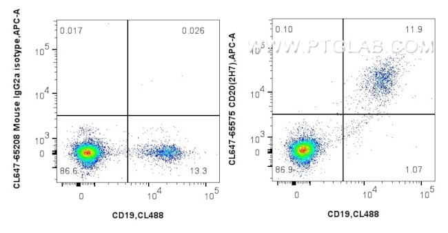 CD20 Antibody in Flow Cytometry (Flow)