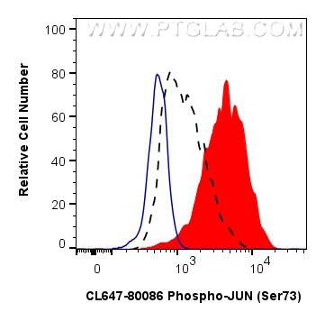 Phospho-JUN (Ser73) Antibody in Flow Cytometry (Flow)