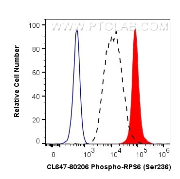 Phospho-S6 Ribosomal protein (Ser236) Antibody in Flow Cytometry (Flow)