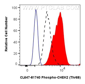 Phospho-CHEK2 (Thr68) Antibody in Flow Cytometry (Flow)