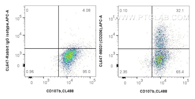 CD206 Antibody in Flow Cytometry (Flow)