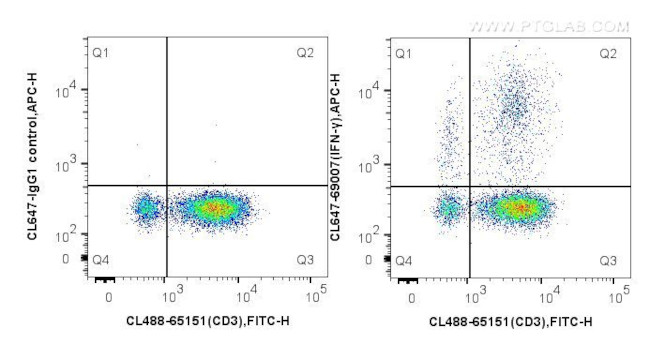 IFN Gamma Antibody in Flow Cytometry (Flow)