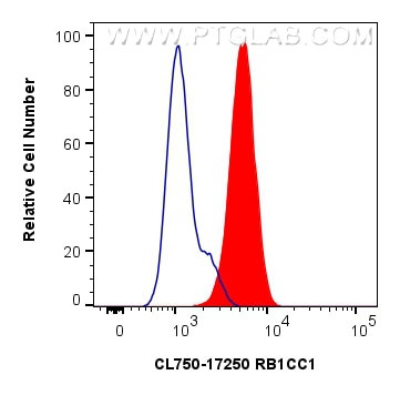 RB1CC1 Antibody in Flow Cytometry (Flow)