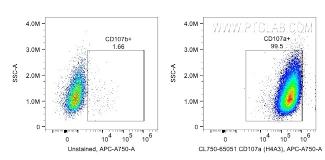 CD107a/LAMP1 Antibody in Flow Cytometry (Flow)