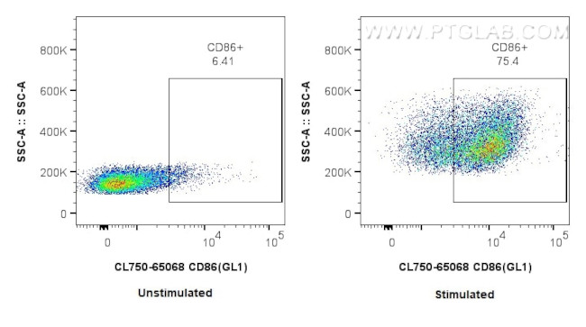 CD86 Antibody in Flow Cytometry (Flow)