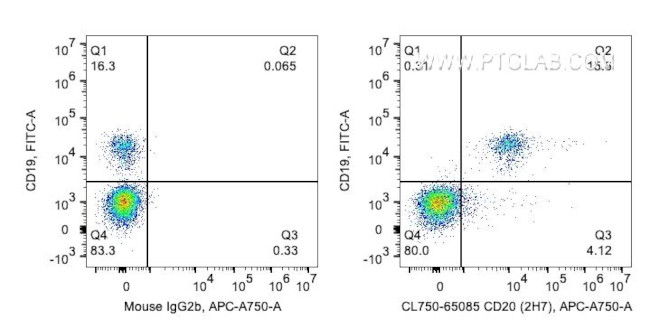 CD20 Antibody in Flow Cytometry (Flow)