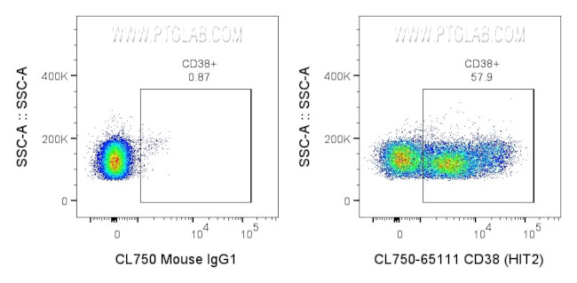 CD38 Antibody in Flow Cytometry (Flow)