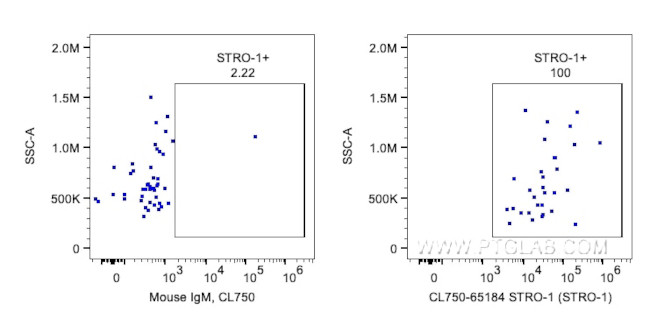 STRO-1 Antibody in Flow Cytometry (Flow)