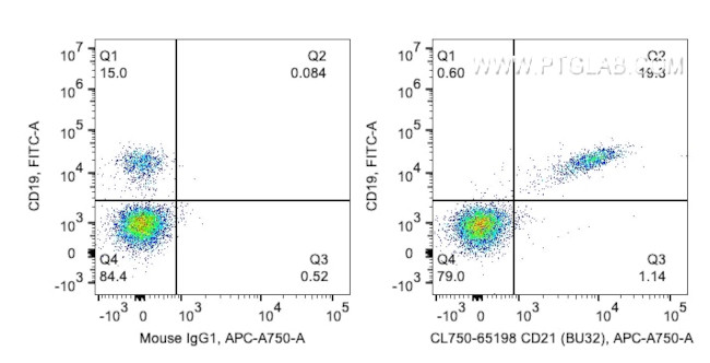 CD21 Antibody in Flow Cytometry (Flow)