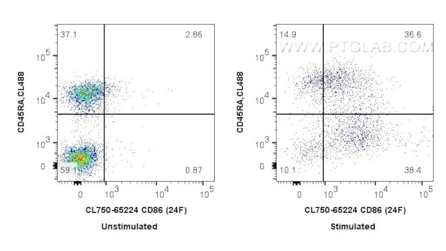 CD86 Antibody in Flow Cytometry (Flow)