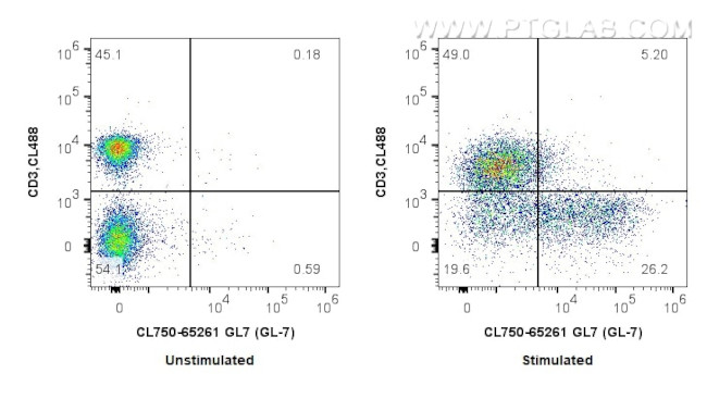 GL7 Antibody in Flow Cytometry (Flow)