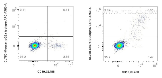 CD20 Antibody in Flow Cytometry (Flow)