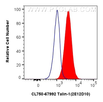 Talin-1 Antibody in Flow Cytometry (Flow)