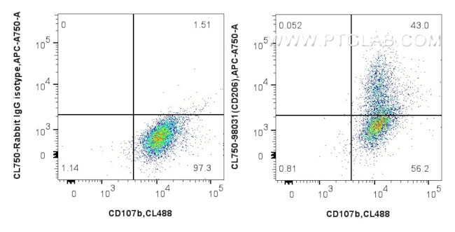 CD206 Antibody in Flow Cytometry (Flow)