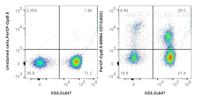 CD73 Antibody in Flow Cytometry (Flow)