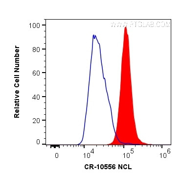 NCL Antibody in Flow Cytometry (Flow)