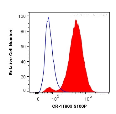 S100P Antibody in Flow Cytometry (Flow)