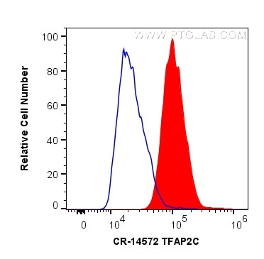 TFAP2C Antibody in Flow Cytometry (Flow)