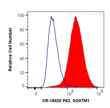 P62/SQSTM1 Antibody in Flow Cytometry (Flow)
