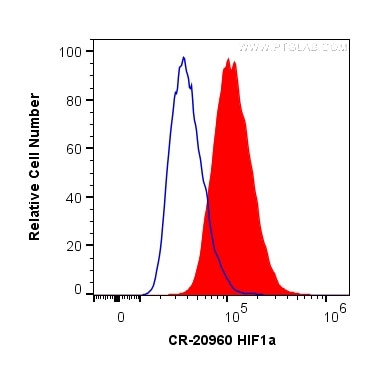 HIF-1 alpha Antibody in Flow Cytometry (Flow)