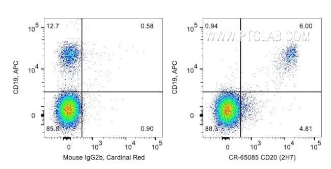 CD20 Antibody in Flow Cytometry (Flow)