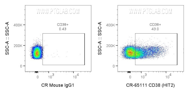 CD38 Antibody in Flow Cytometry (Flow)