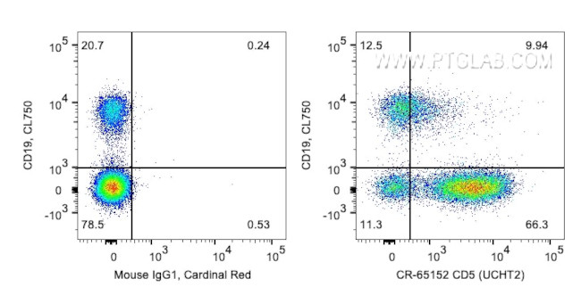 CD5 Antibody in Flow Cytometry (Flow)