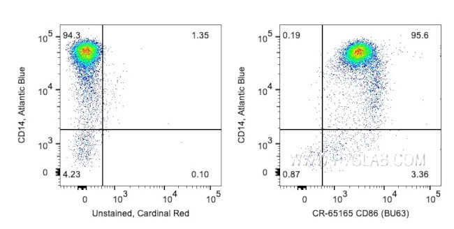 CD86 Antibody in Flow Cytometry (Flow)