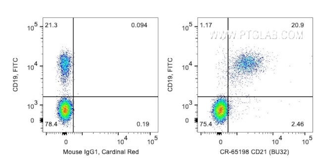 CD21 Antibody in Flow Cytometry (Flow)