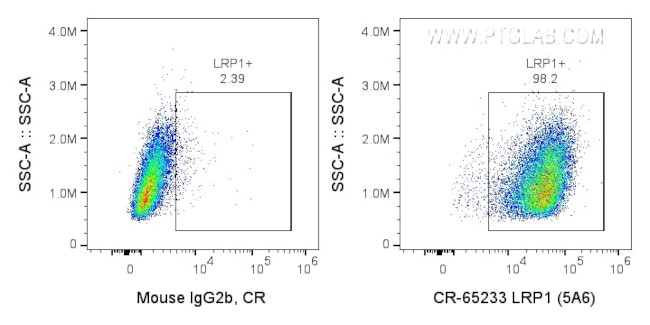 LRP1 Antibody in Flow Cytometry (Flow)