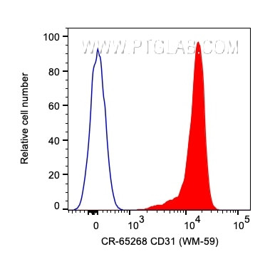 CD31 Antibody in Flow Cytometry (Flow)
