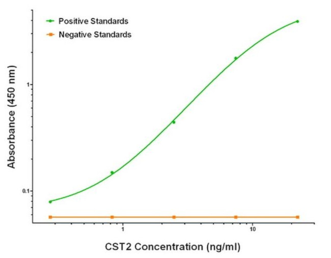 CST2 Antibody in ELISA (ELISA)