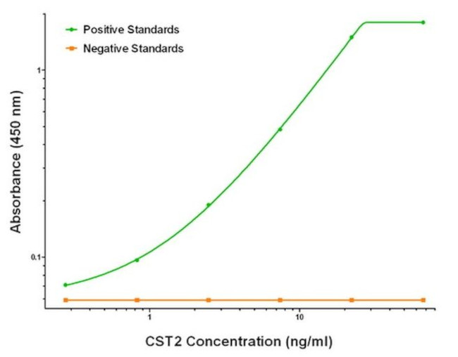 CST2 Antibody in ELISA (ELISA)