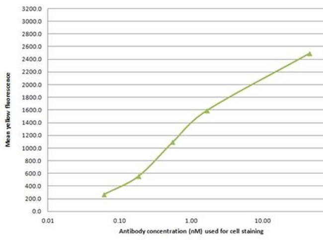 CXCR4 Antibody in Flow Cytometry (Flow)