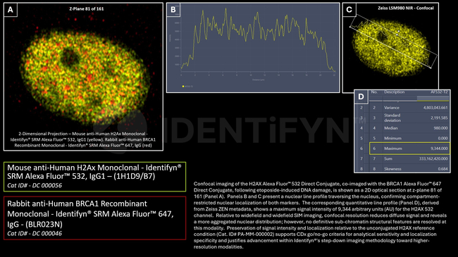 H2Ax Antibody in Immunocytochemistry (ICC/IF)