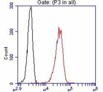 DDK Antibody in Flow Cytometry (Flow)