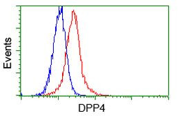 DPP4 Antibody in Flow Cytometry (Flow)
