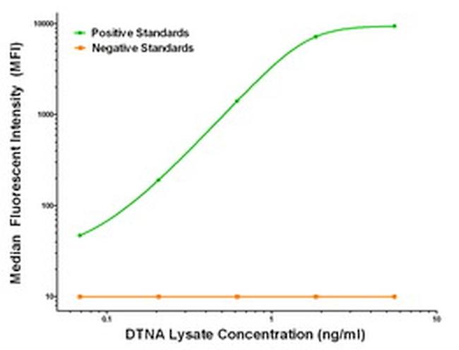 DTNA Antibody in Luminex (Luminex)