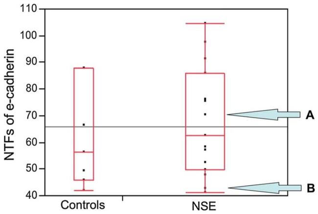 E-cadherin Antibody in ELISA (ELISA)