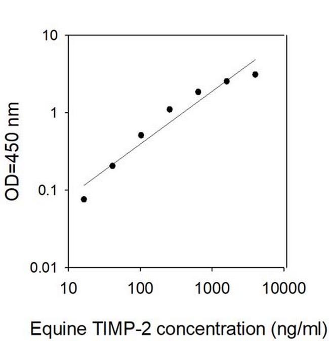 Equine/Human TIMP-2 ELISA Kit
