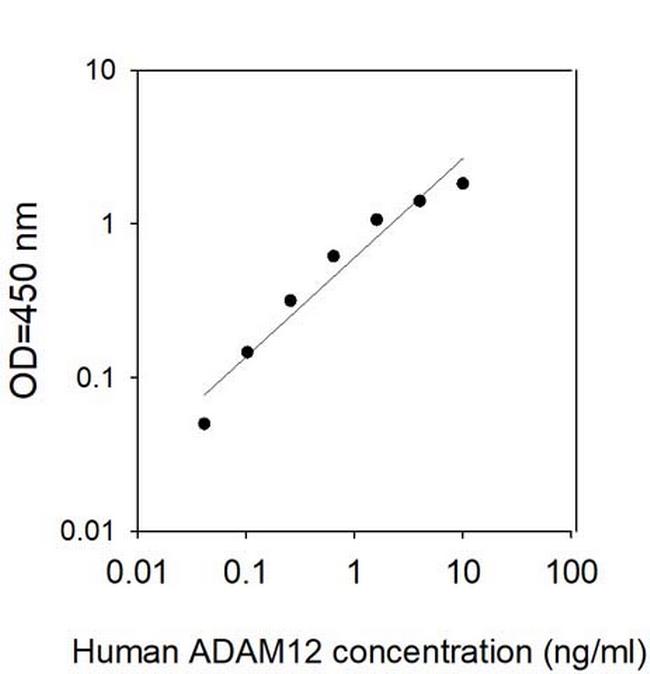 Human ADAM-12 ELISA Kit