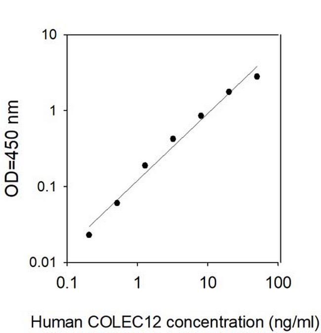 Human Collectin-12/CL-P1 ELISA Kit