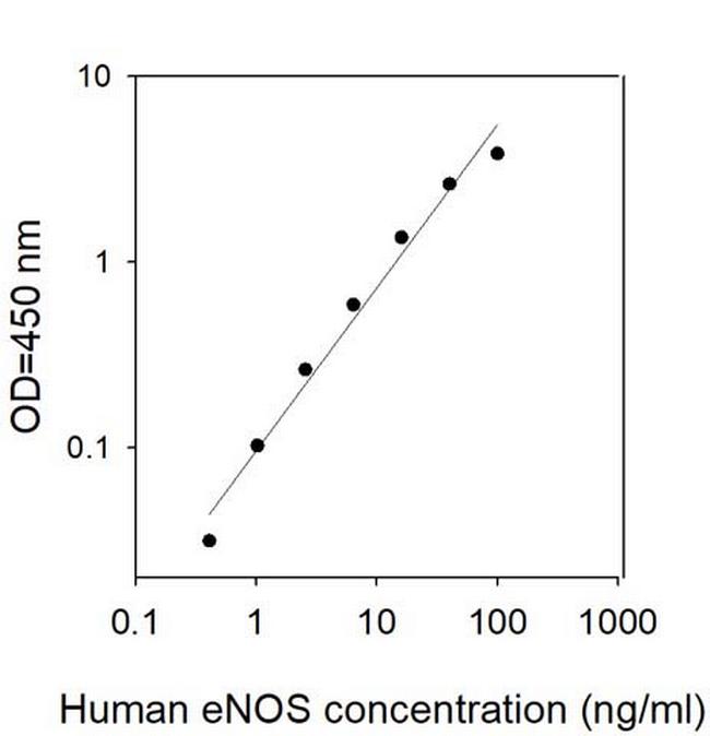 Human eNOS/NOS3 ELISA Kit