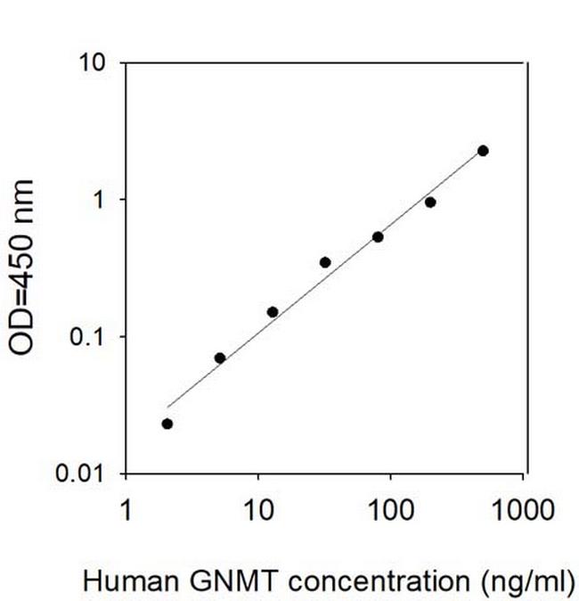 Human GNMT ELISA Kit