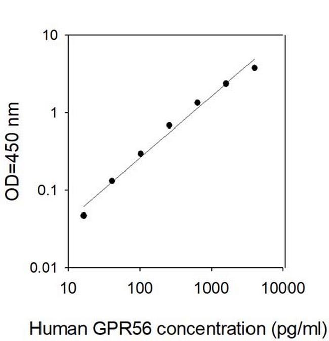 Human GPR56 ELISA Kit