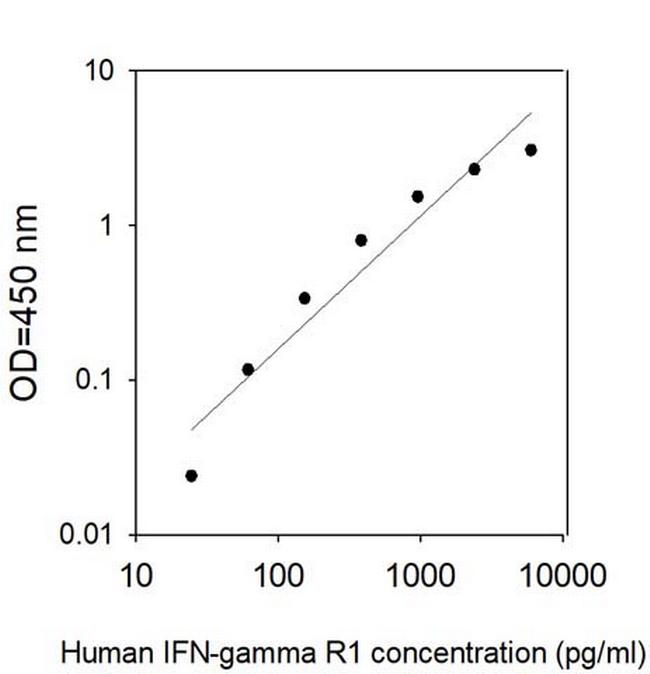 Human IFN-gamma R1 ELISA Kit