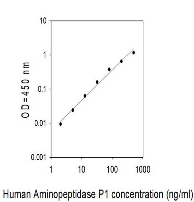 Human Aminopeptidase P1 ELISA Kit